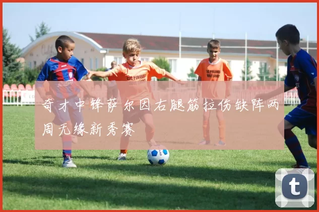 奇才中锋萨尔因右腿筋拉伤缺阵两周无缘新秀赛